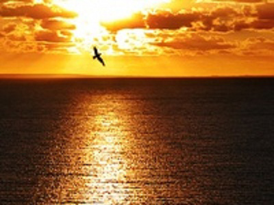 Ψ���ǳƣ�Ψ����΢������