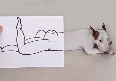 贱贱的网名,史上最贱的网名