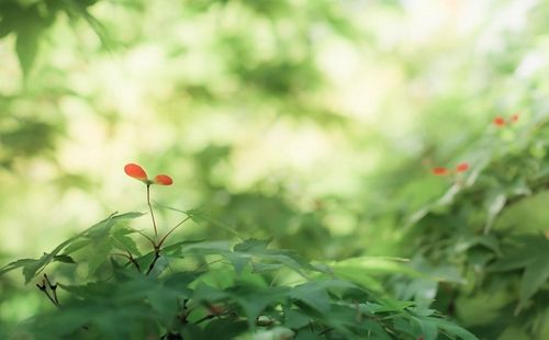 Ů�������������İ��������������ҵ�����