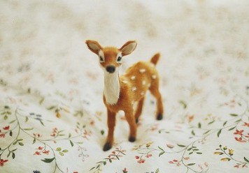 �¶���į��QQ���֣��̻����ú�ȴ������į�r