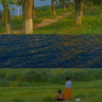 ��ѡ�������ں��������ĸ���-�ɰ���