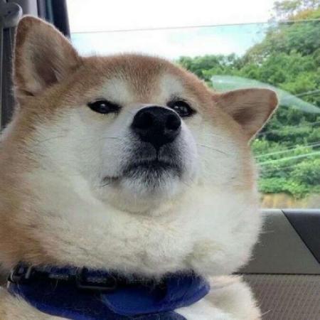 ����ʮ���˧������������������-�ɰ���