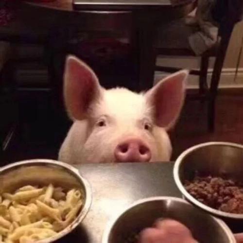 ����������˼�ĳ�������Ԣ���-�ɰ���