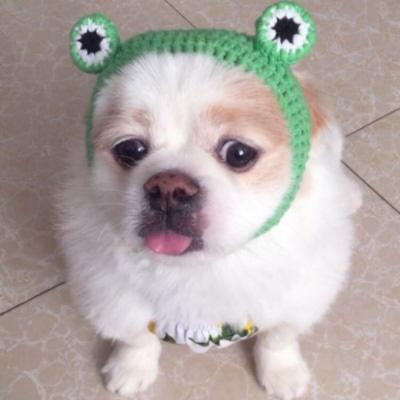 ���ε��ߴ������˼�ĳ������ֵû���-�ɰ���