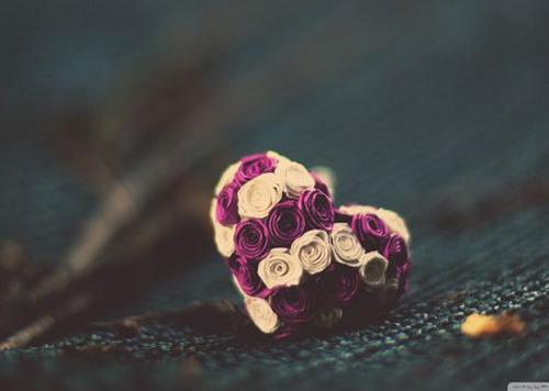 ΢�ź����ĸ����ǳ� �¶�����