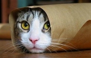 ��Ϭ����������ѡ������ˮ�����˶ࡢ