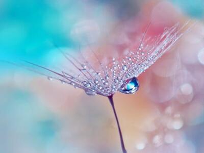 ����������Ϸ����������Ϸ����ʫ��