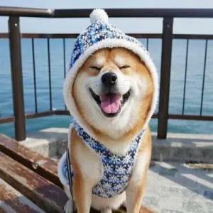 �ݻ�����Ů�����Ӣ�����ֺܸ���-�ɰ���