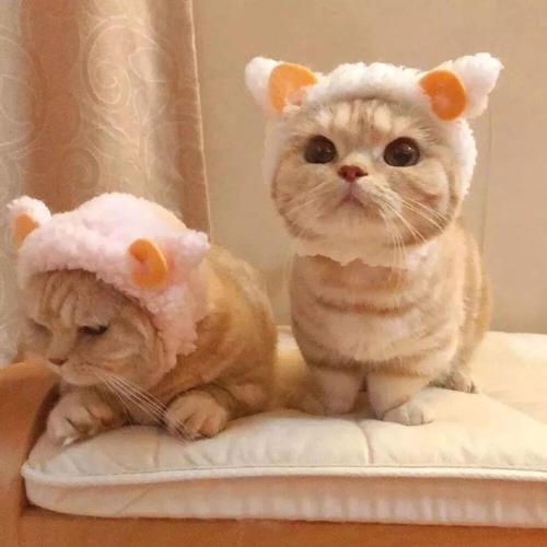 ��ק�����������ִ�ȫ����ʮ��-�ɰ���