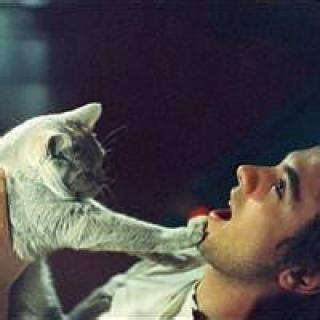 ŷ������ĳ�������ʱ�г���-�ɰ���