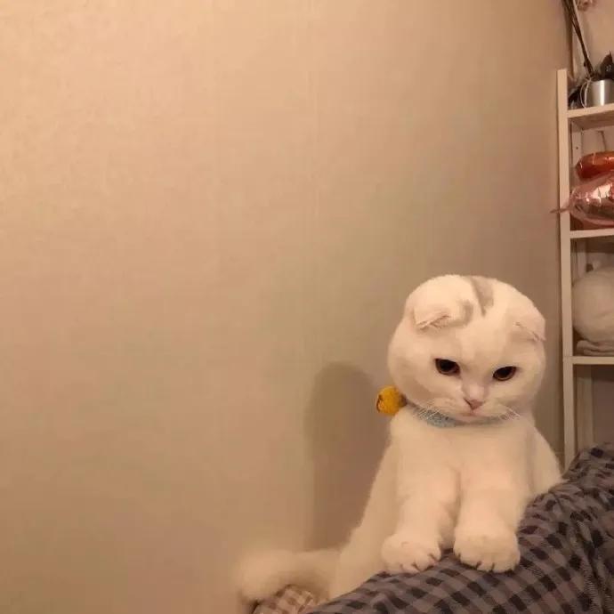 �������ŵĳ���èȡ���ָ߹������-�ɰ���