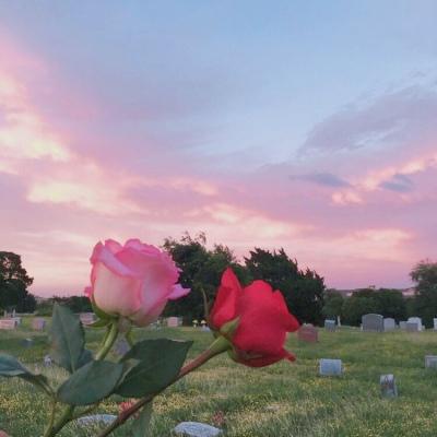 ��Լ�͵����ں�����������������-�ɰ���