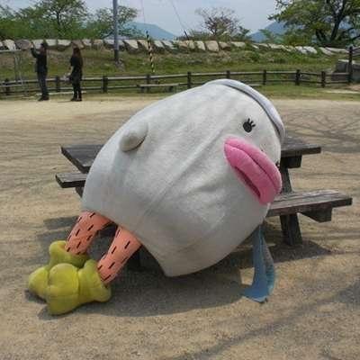 �Ƚ϶��ȵĳԼ������ܶ�ѡ������-�ɰ���