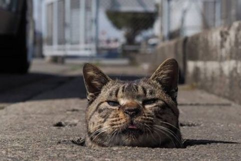 ��Ϭ���ܰ����ĸ�����������������a��û����