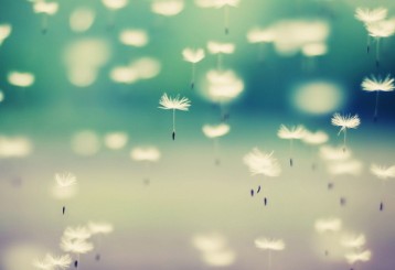 �����ֵ�С���������������r��������