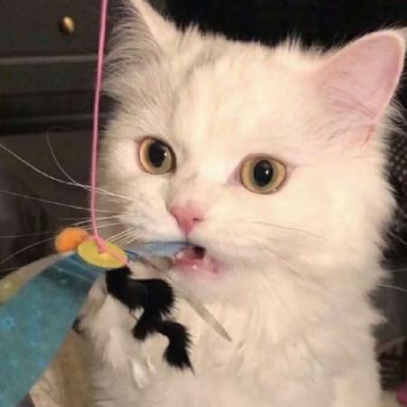 ���ͺ��������ĳ��������м���-�ɰ���