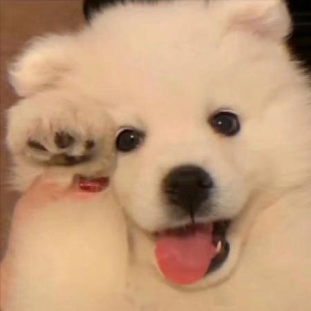 ӡ�󳬺õİ���������������ǿ��-�ɰ���