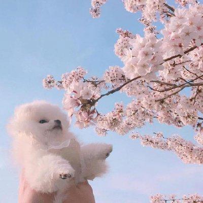 �ߴ��ϳ������ִ�ȫ�����ָ߹�-�ɰ���