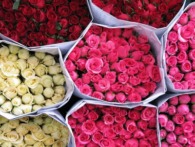 ���������������֣��������Ժ� �� �������ĺ�