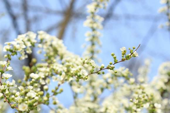 ��������˼������΢�����֣����ź����ˣ��å