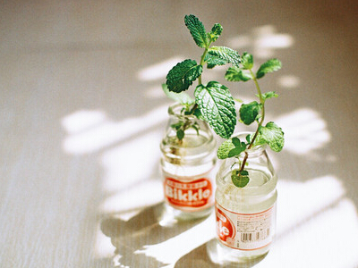 个性的yy两字名字:7.℃微涼