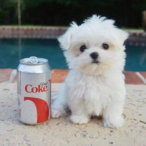 �������ȵ����ֳ������ִ�ȫ��������ϲ��-�ɰ���