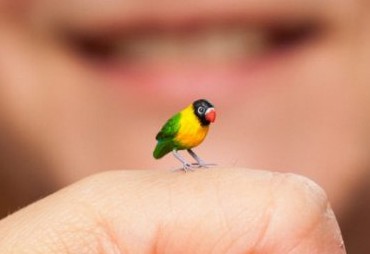 �������QQ�ǳƣ���������ͺú�������