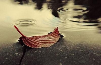 超长的寂寞伤感网名,很长很伤感的名字