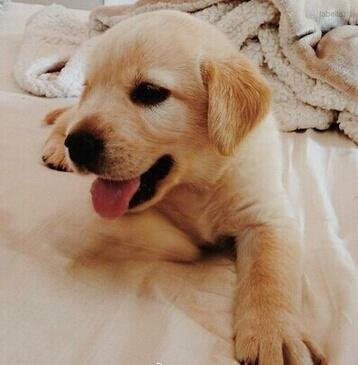 �ں������ĳ��ﹷ���ִ���ҫ�۽ܳ�������-�ɰ���