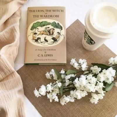 �򵥲�ʧ����Ķ����ǳƴ�ȫС���շ�-�ɰ���