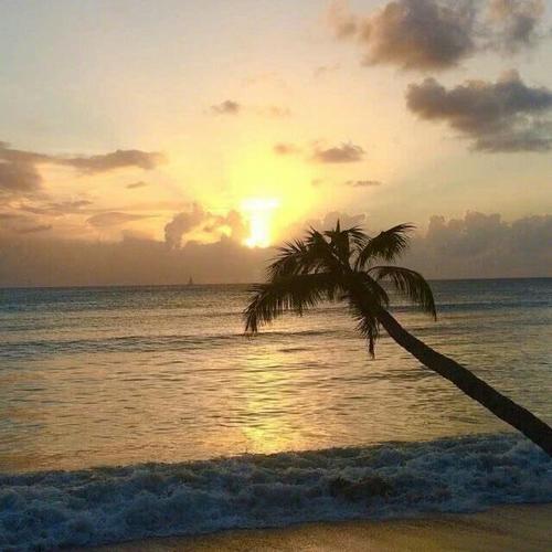 �������ʾ��������ǳ�-�ɰ���