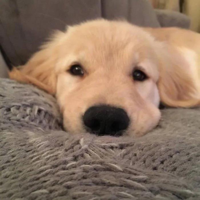 ���������Եĳ���������������͵��ݻ�-�ɰ���