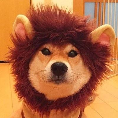 �����л����ĳ������ְ���ǿ��-�ɰ���