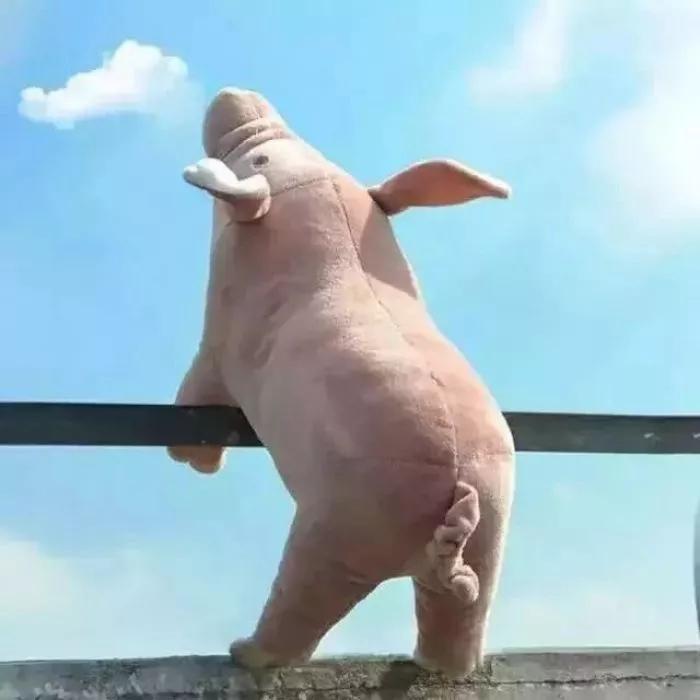 ������Ȥ2020�����΢����OMG������