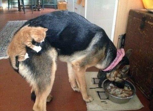 ��Ц���ں�������qqȺ������һ��������ļ����