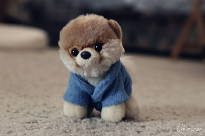 ������©��������˼�ķ����������Ƽ�