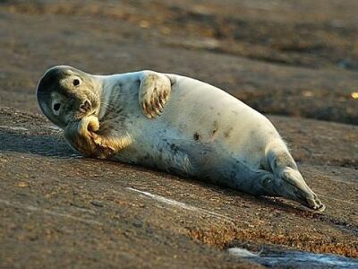 �������ִ�ȫ���������ΰ������־�ѡ