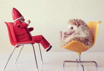 ���ķ����������W���W���fԽ�WԽ��