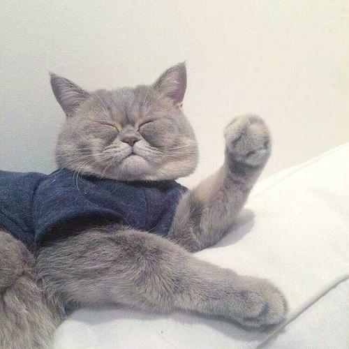 ��᲻�����˵ĳ������ִ�ȫ��ק����-�ɰ���