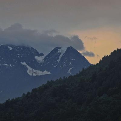 Ψ���������Ĺŷ絭������ɽ��ľ��ľ��֦-�ɰ���