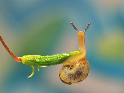 ��Ц����������ק