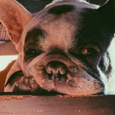 ��֮�������Ը�ĸ��԰�����������-�ɰ���