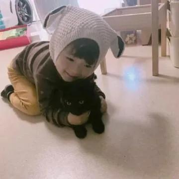 ����ʫ���к������ֵ���-�ɰ���