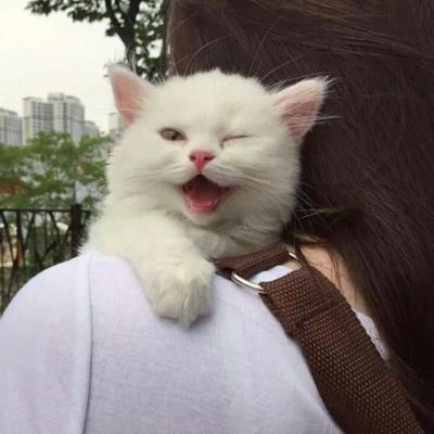 �˼��˰��ĳ������ֿɰ�������ů���-�ɰ���