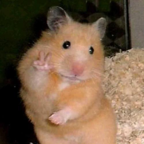 �������ֺ��������ֽ�ʲô�򵥺ü�-�ɰ���