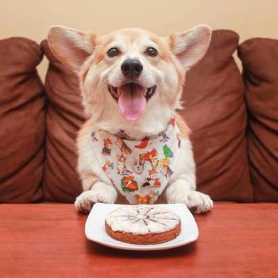 ���������ĳ���ɰ�Ӣ�����ָ���ͯ��ɫ��-�ɰ���