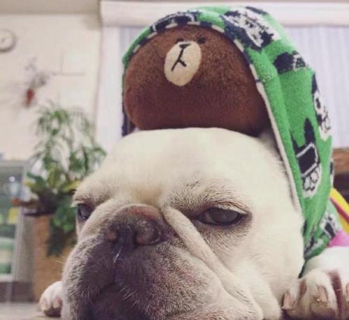 ���ȵĶ��ı�ע����ů���ָ��-�ɰ���