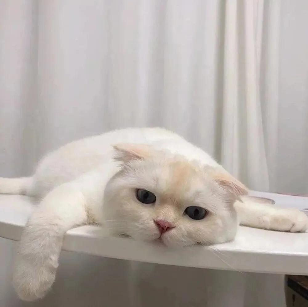 �����ǳ������ĳ���ȡ���ּ򵥼��-�ɰ���