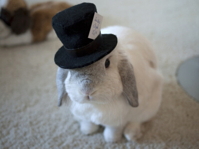 �����ֵİ���������2���ֵİ�����Ϸ����