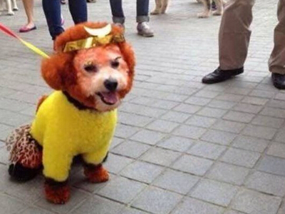 �ɰ����ȵ����������ȵ�����Ů��